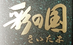 Partner Logo